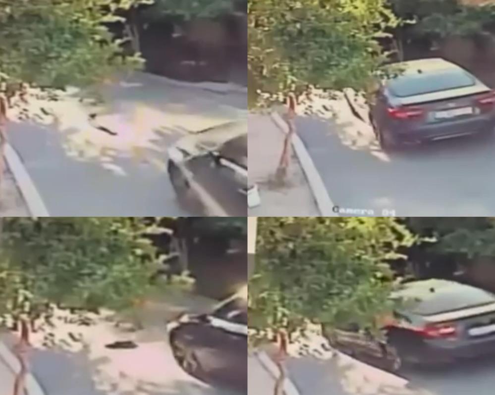 Aracın üzerinden geçtiği köpek telef oldu