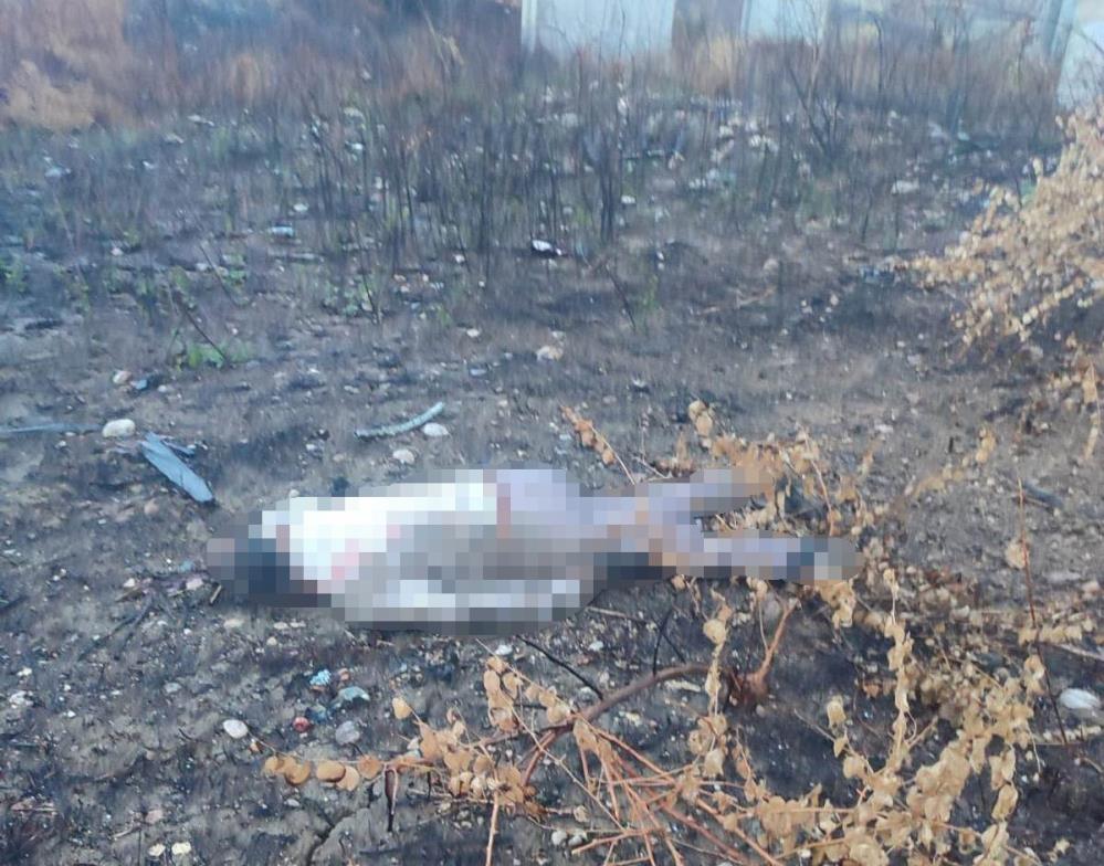 Kaza yapan araçın sürücüsü 30 metrelik köprünün altında ölü bulundu