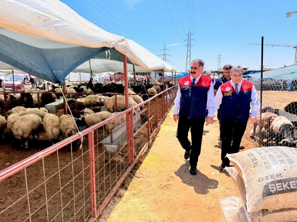 Kurban Bayramı öncesi satış noktalarında sıkı denetim
