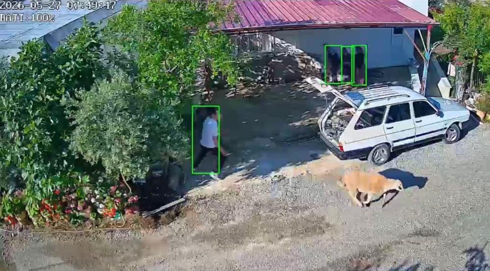 Bozyazı'da Kurbanlıklar kaçtı, bayram neşesi kameralara yansıdı