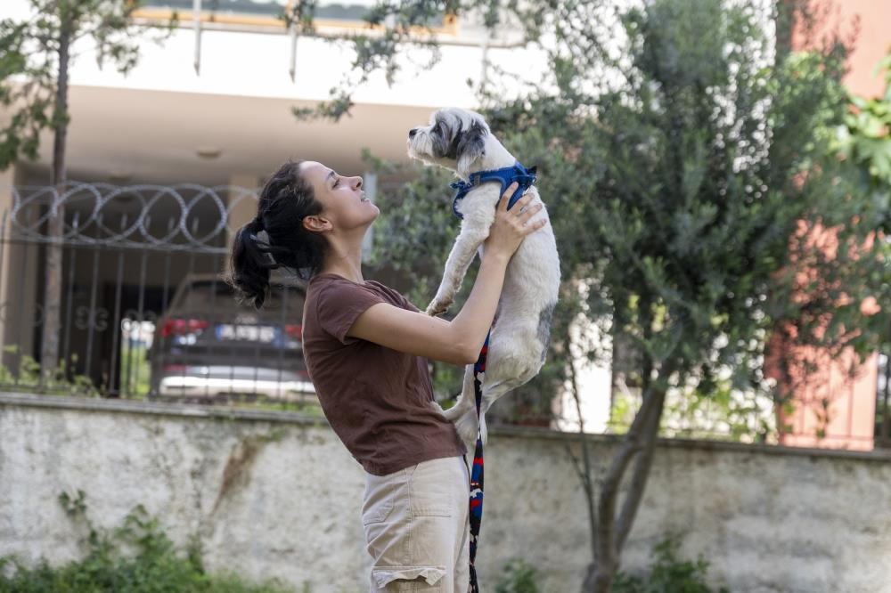 Sahiplendirme kampanyasıyla bin 927 köpek yeni yuvasına kavuştu
