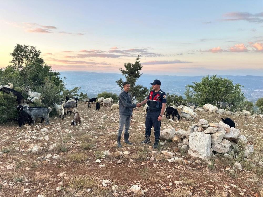Kayıp 40 küçükbaş dronla bulundu