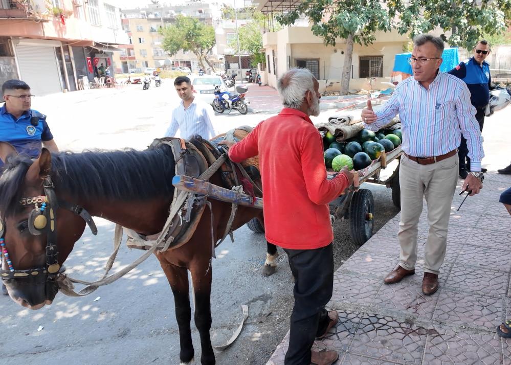 Bitkin düşen at yeni yuvasına kavuştu