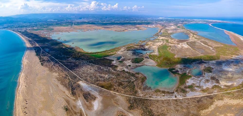 Deniz kaplumbağaları koruma alanında kural ihlallerine ceza