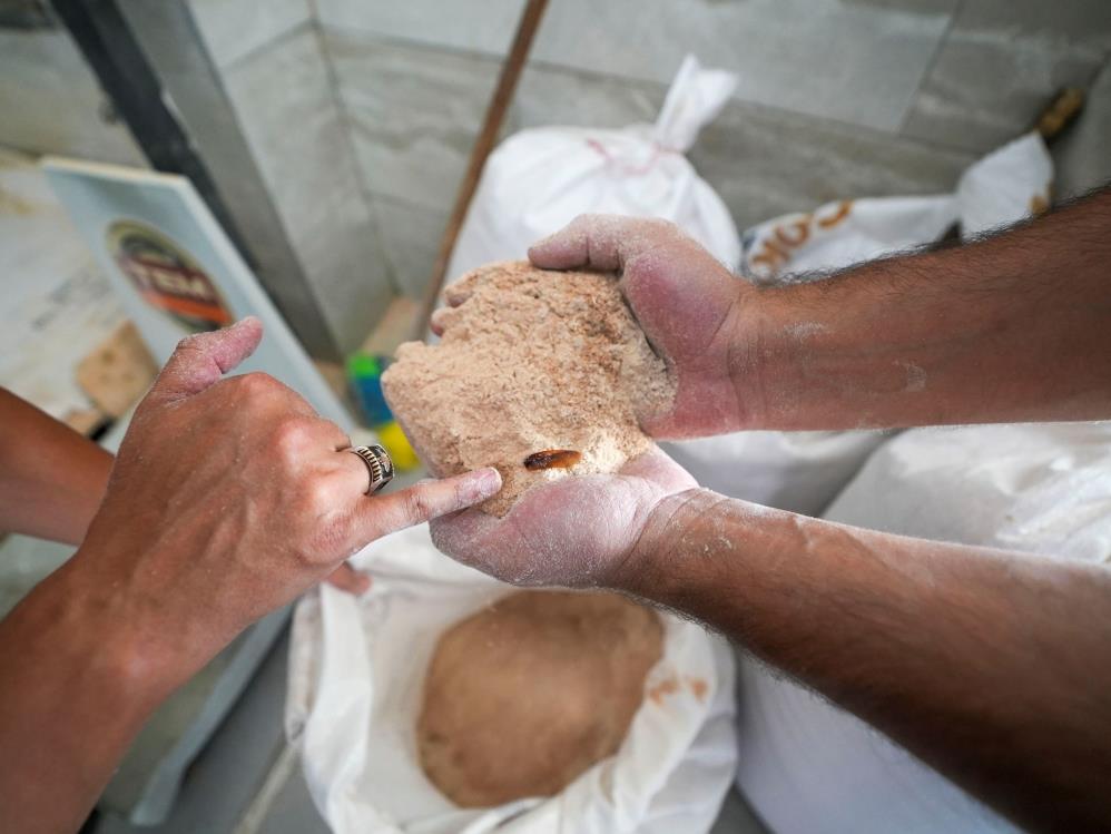 30 ton böceklenmiş bozuk un ele geçirildi