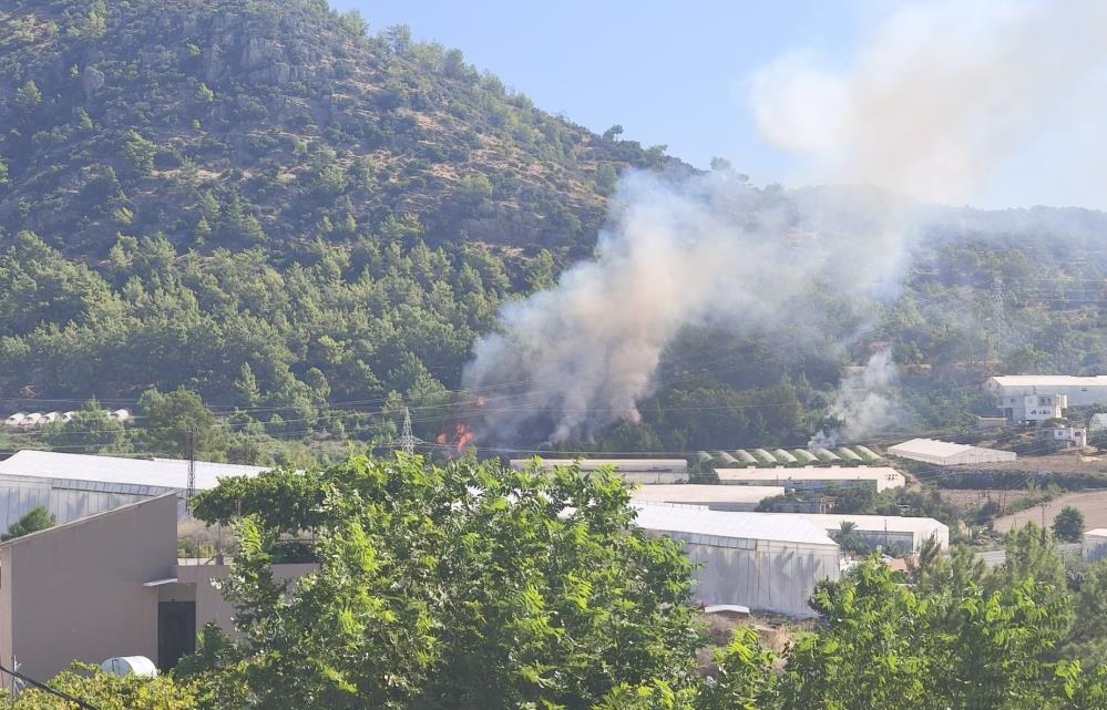 Bozyazı’da orman yangını büyümeden söndürüldü