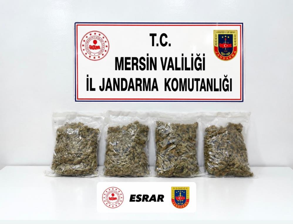 Uyuşturucu operasyonu: 2 gözaltı