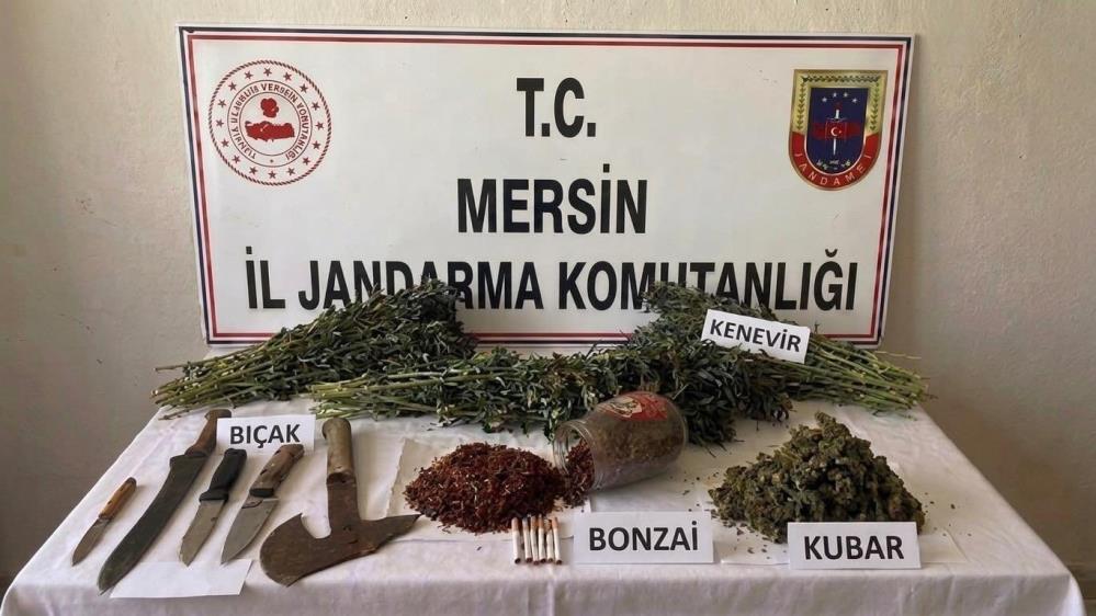 Uyuşturucu operasyonu: 1 tutuklama
