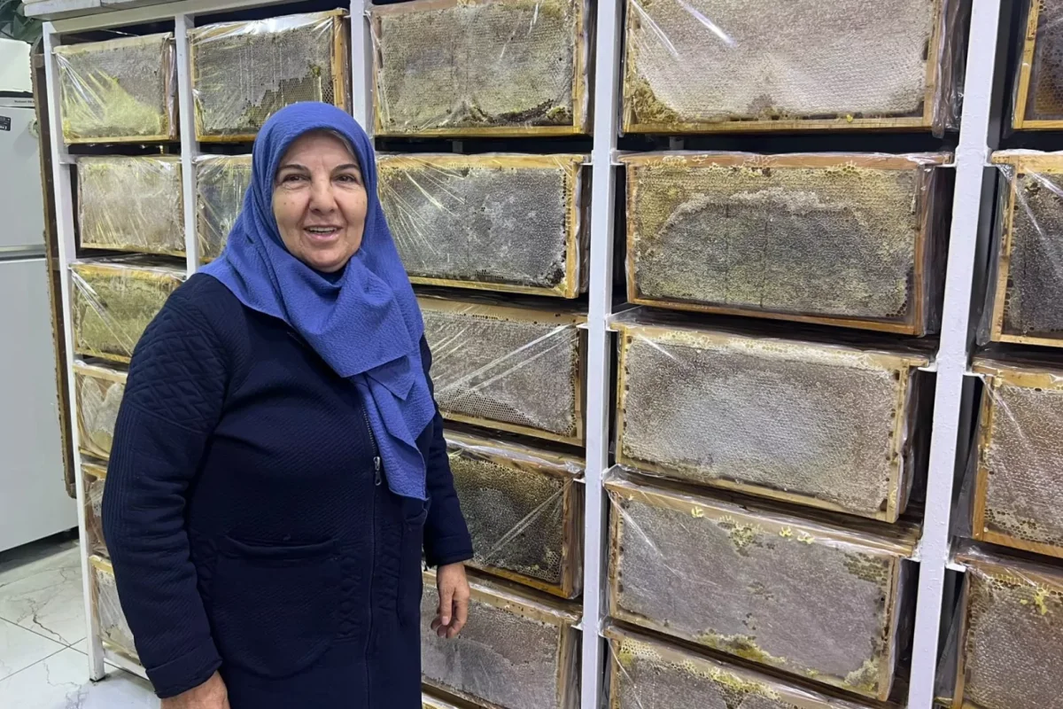 Ağrı’da arılar kışa hazırlanıyor... Arıcı Suzan Sürmeli anlattı