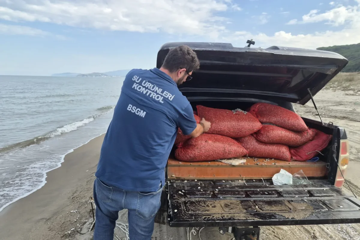 Mudanya Eğerce'de 2,7 ton kum şırlanı denize iade edildi!