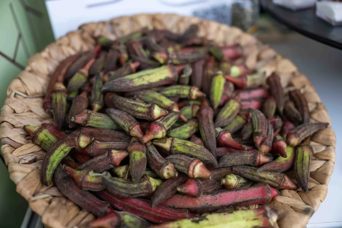 Gastrofest’te Bornova rüzgarı... Kınalı Bamya hayran bıraktı
