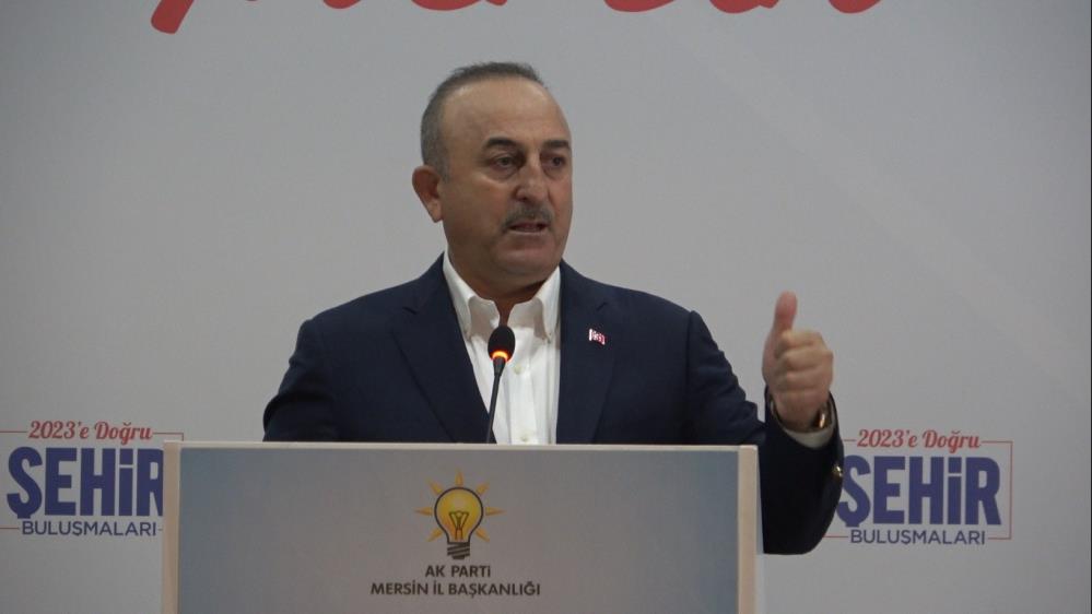 Çavuşoğlu: 