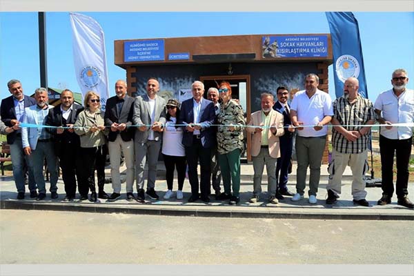Akdeniz'de 1 yılda bini aşkın hayvan kısırlaştırıldı