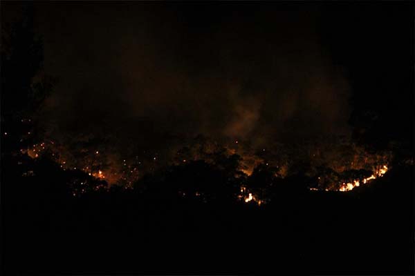 Antalya’da  orman yangını devam ediyor