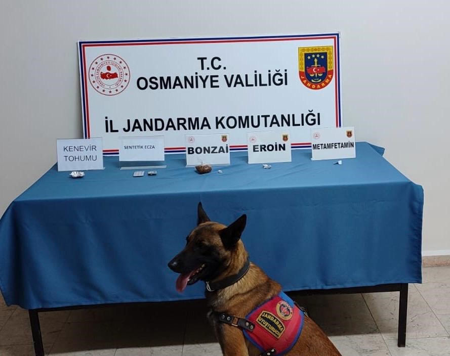 Jandarmadan uyuşturucu operasyonları