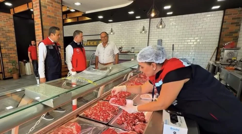 Eş zamanlı gıda denetimi
